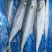 深海精品马鲛鱼，渤海湾特产，肉质鲜美，质量好