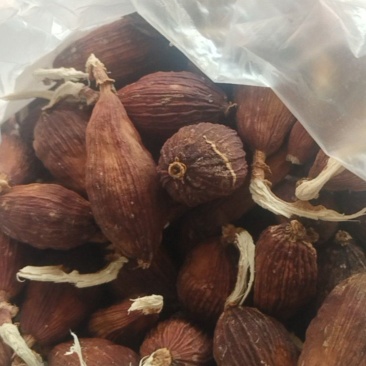 草果