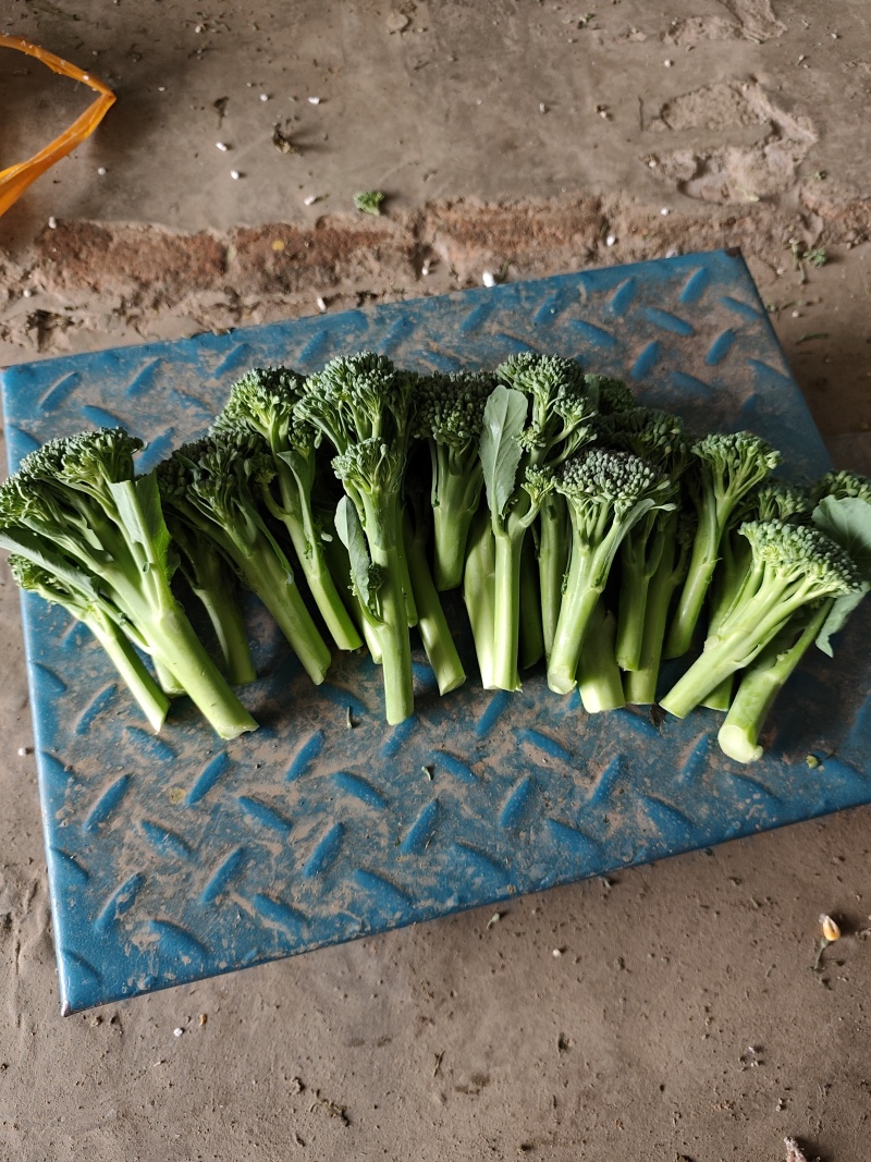 西兰苔基地直供，高端食材！！！！！！