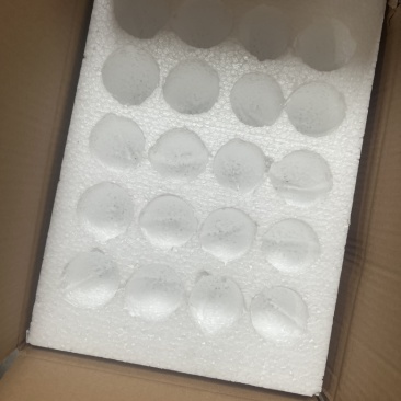 鸡鸭鹅泡沫蛋托快递专用各种异型泡沫定制