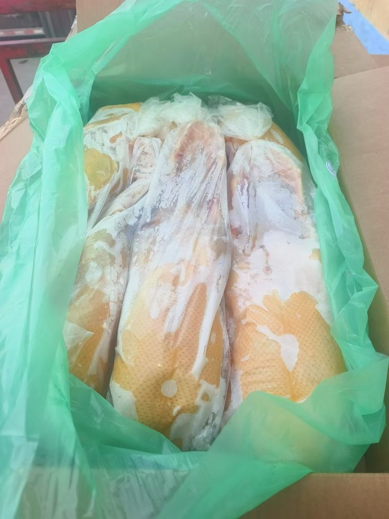 黄皮全鸭