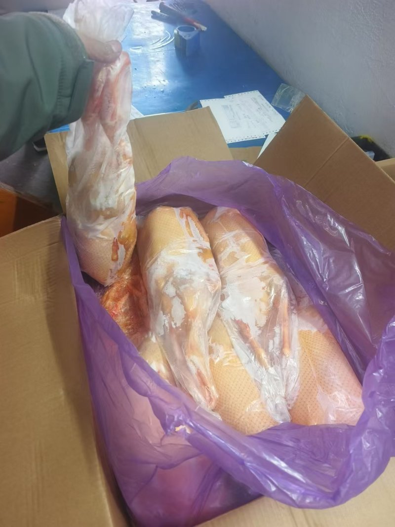 黄皮全鸭