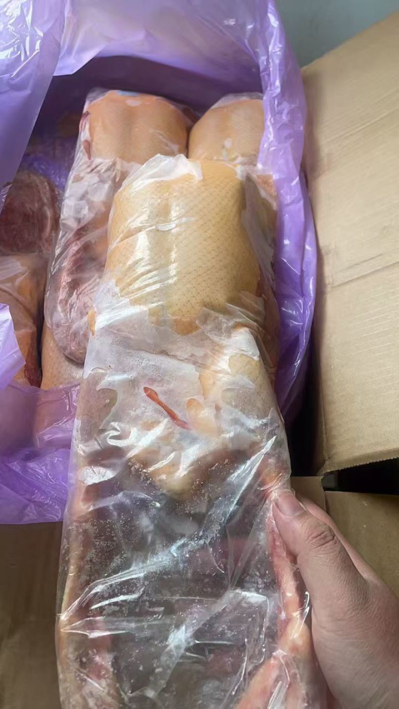黄皮全鸭