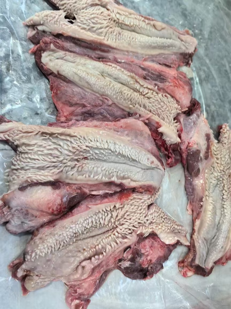 【牛腮肉】冻牛头缓化剔下来的嘴叉子，二次加工产品，纯干货