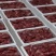 （鲜肉)冷鲜肉，大腿肉前后大腿，全国包邮