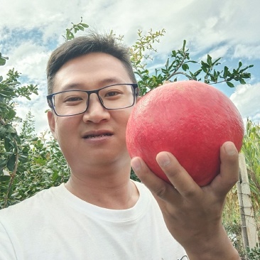 酸石榴