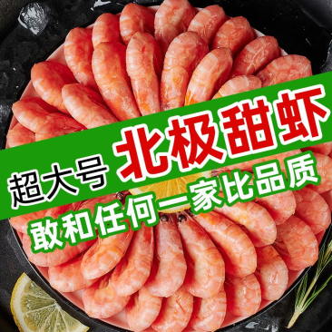 批发顺丰包邮北极甜虾头籽腹籽刺身北极虾现货多规格包邮到家