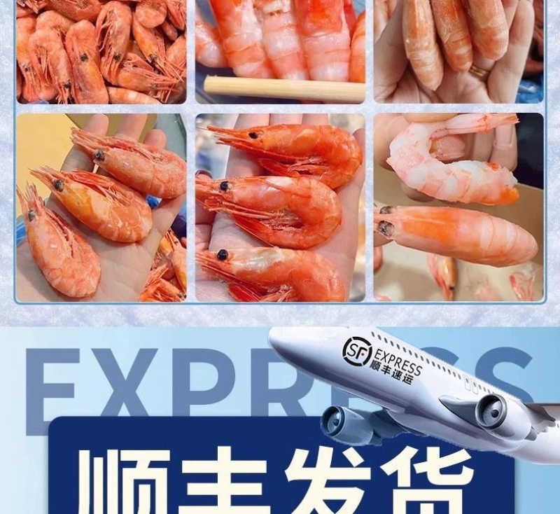 批发顺丰包邮北极甜虾头籽腹籽刺身北极虾现货多规格包邮到家