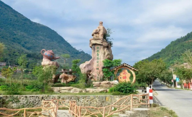 安溪铁观音清香型，跟茶农对接第一手