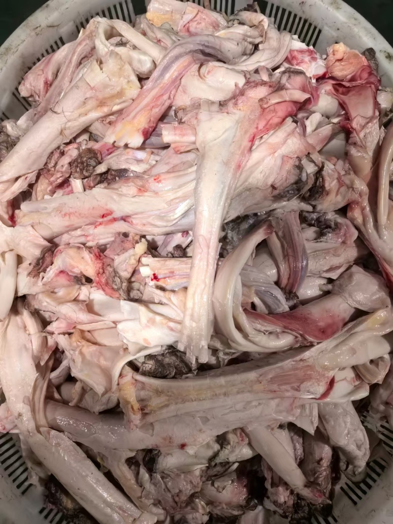 【牛蹄筋】当地草原黄牛的蹄筋，红烧软糯Q弹好吃的很