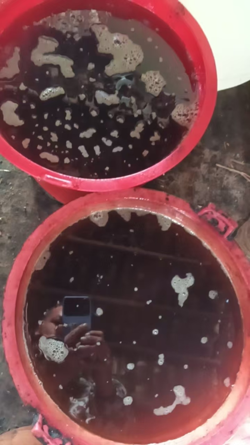 山茶油，自己家加工生产，品质保证，支持视频看货