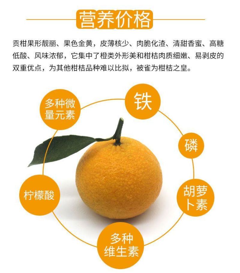 顺丰正宗德庆皇帝柑德庆贡柑一件代发现摘现发