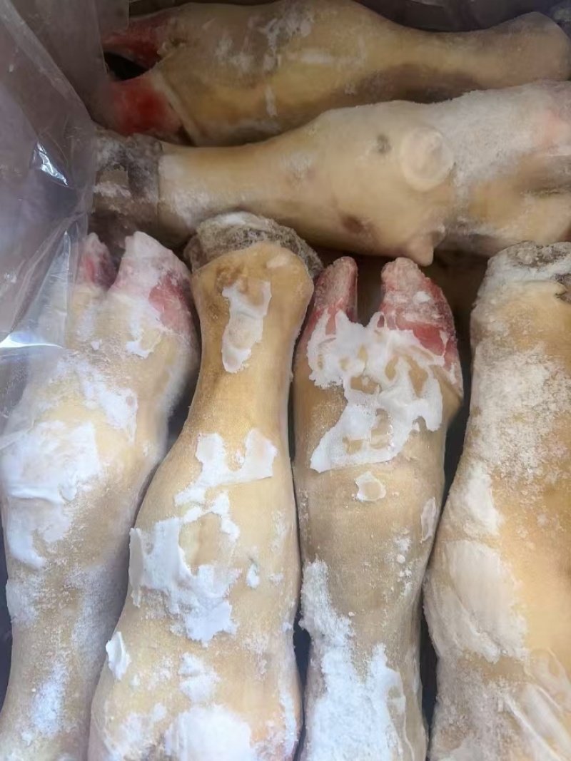 牛蹄，带骨牛蹄，厂家直销，一手货源，量大从优。