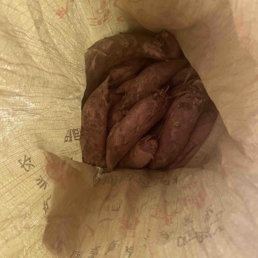 冬笋，每天下山货，接受预定
