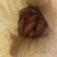 冬笋，每天下山货，接受预定