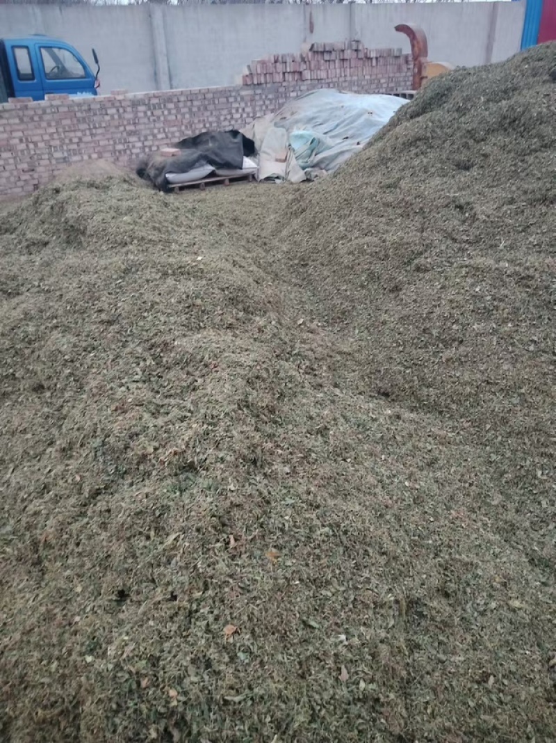 【产地发货】甜地丁对接全国货真价实可实地考察欢迎咨询