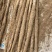 河北山药，精品小白嘴山药大量供应随行就市量大从优
