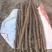 河北山药，精品小白嘴山药大量供应随行就市量大从优