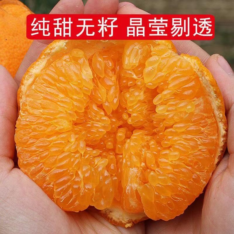 耙耙柑，味道纯甜，皮毛亮，个头大，