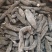 90头北极参