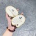 释迦果一件代发电商专用卷起来11212121