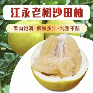 湖南江永精品小果沙田柚大量供应，货源充足，基地直发