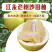 湖南江永精品小果沙田柚大量供应，货源充足，基地直发