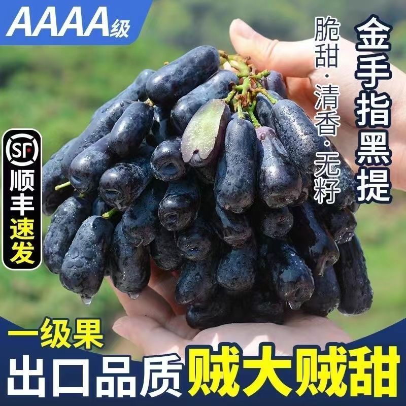 一件代发新疆特产新疆吐鲁番特大美人指蓝宝石葡萄金手指