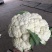 【推荐】湖北松花菜菜花一手货源供应市场商超电商量大价优