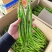 广东鲜辣椒，8号线椒，一手货源供应市场电商工厂食堂欢迎咨