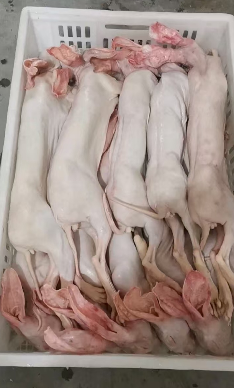 农家养殖兔肉，新鲜带皮兔肉干锅专用