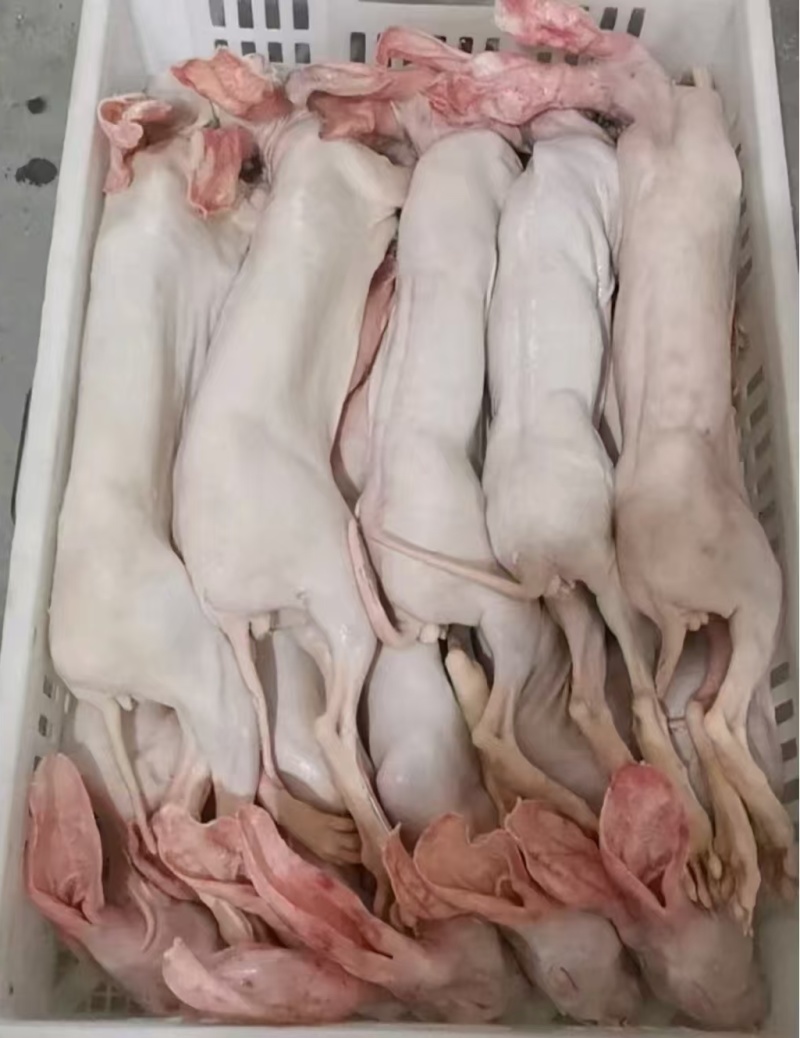 农家养殖兔肉，新鲜带皮兔肉干锅专用
