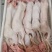 农家养殖兔肉，新鲜带皮兔肉干锅专用