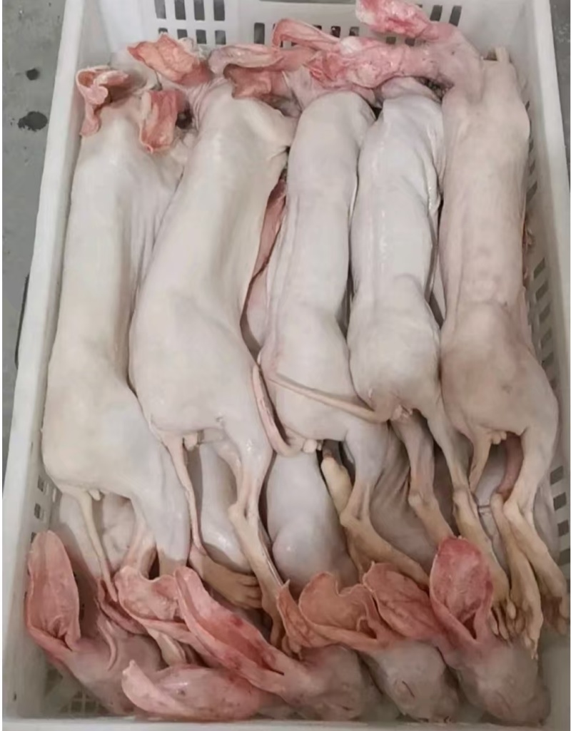 农家养殖兔肉，新鲜带皮兔肉干锅专用