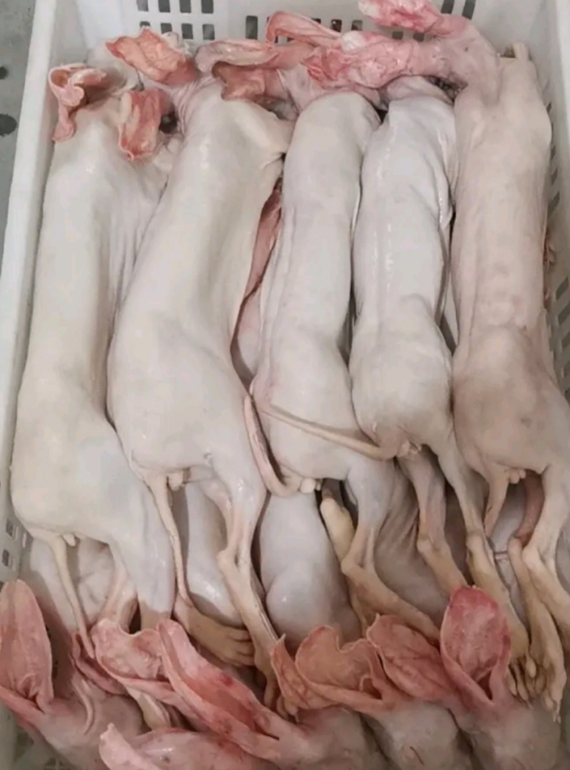 农家养殖兔肉，新鲜带皮兔肉干锅专用