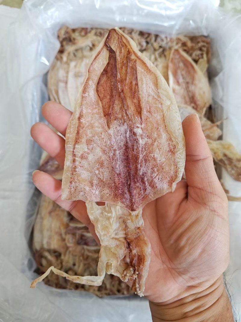 鱿鱼干炭烤鱿鱼干烧烤鱿鱼干