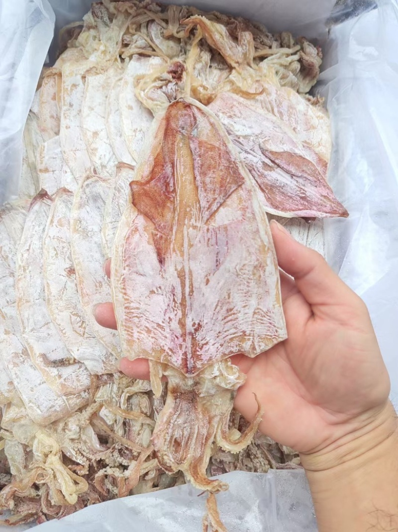 鱿鱼干炭烤鱿鱼干烧烤鱿鱼干