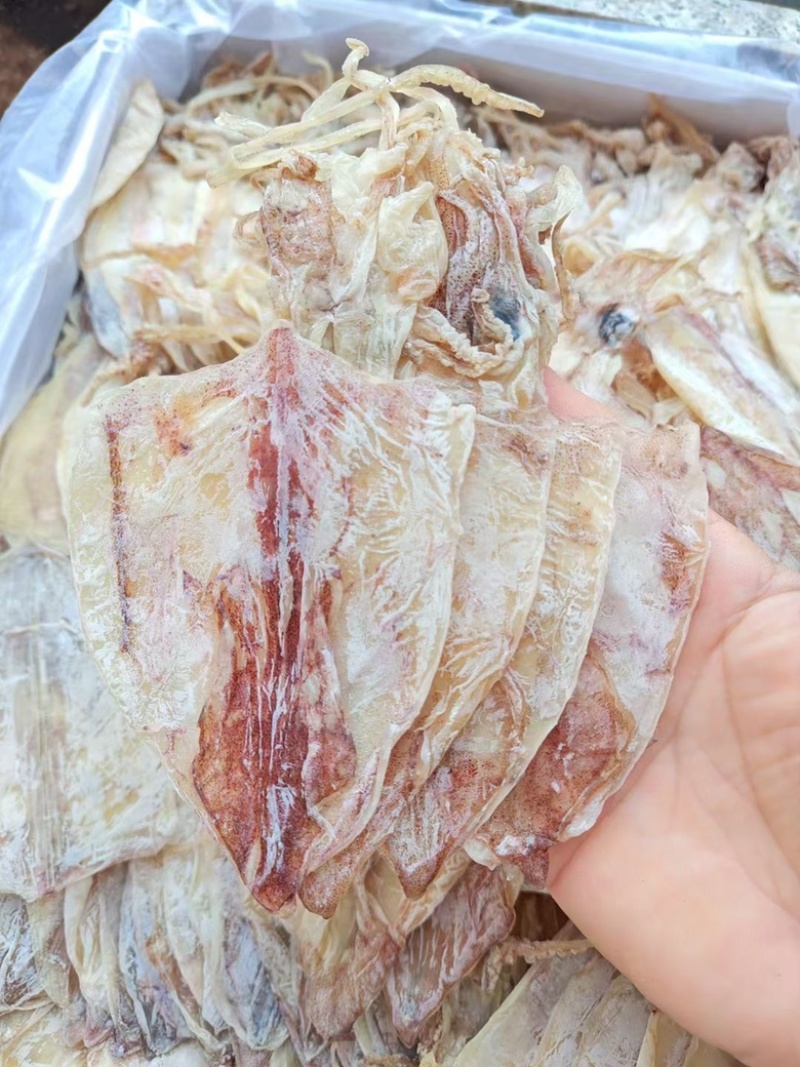 鱿鱼干炭烤鱿鱼干烧烤鱿鱼干