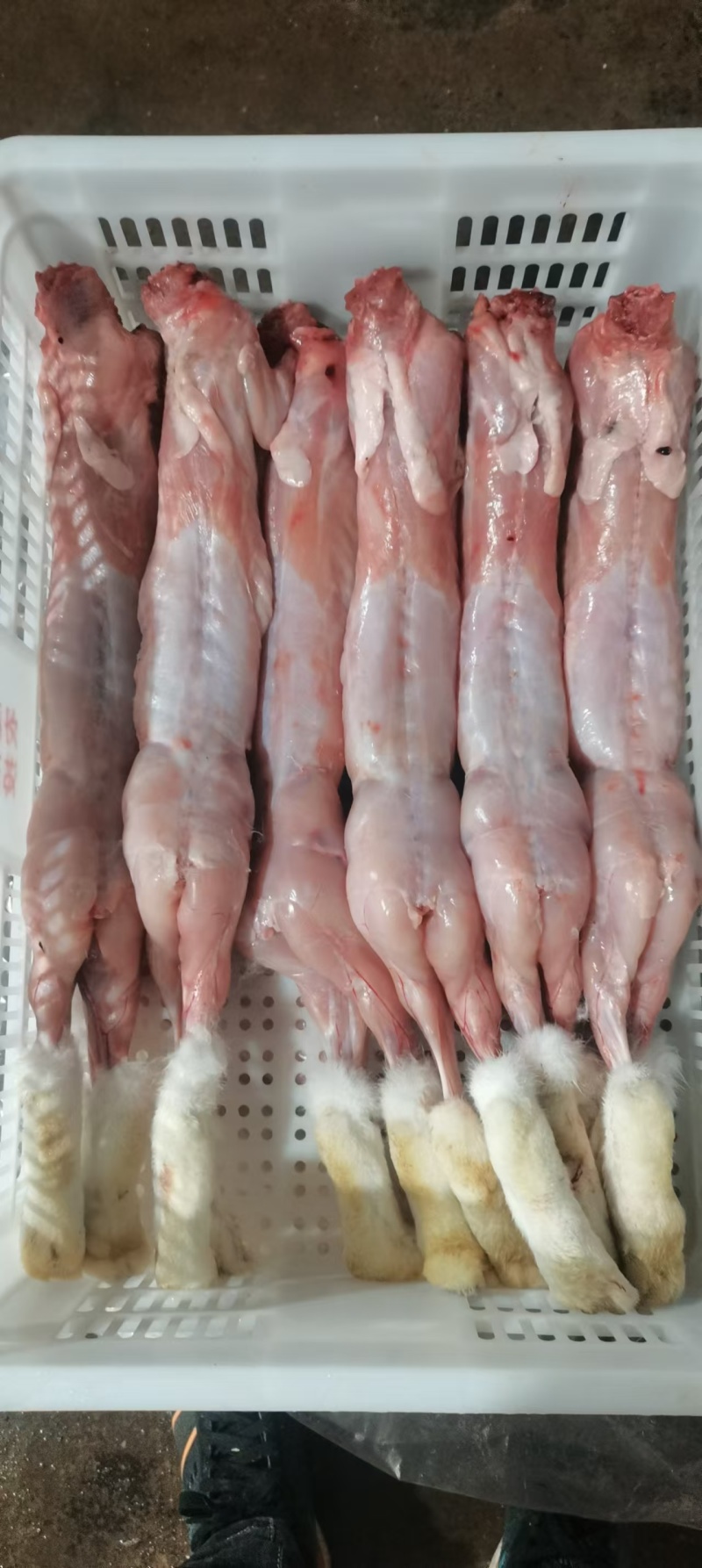 生鲜兔肉新鲜兔肉农家散养肉质饱满，绿色健康整只装