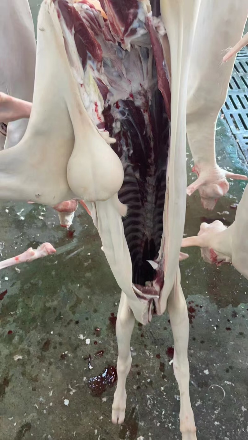 带皮羊肉新带皮羊肉纯干无水无油货源充足