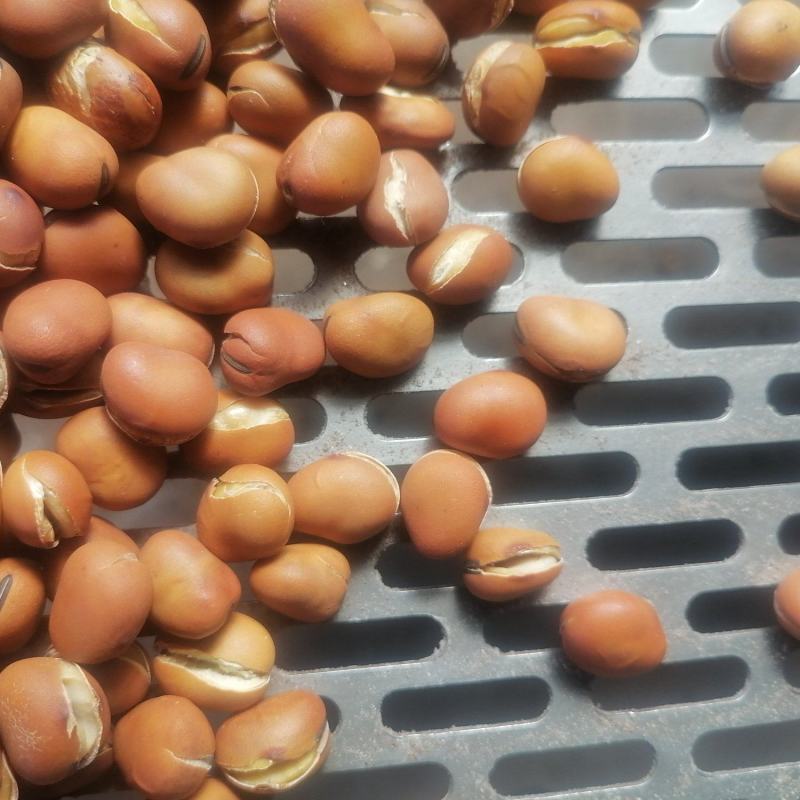 炒羊眼豆