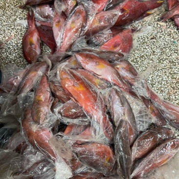 花面斑