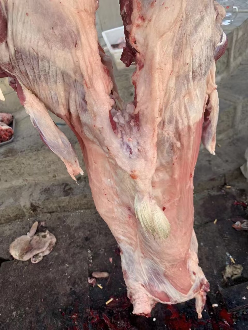 羊肉剔骨羊肉本地山羊肉纯干无水精修无油