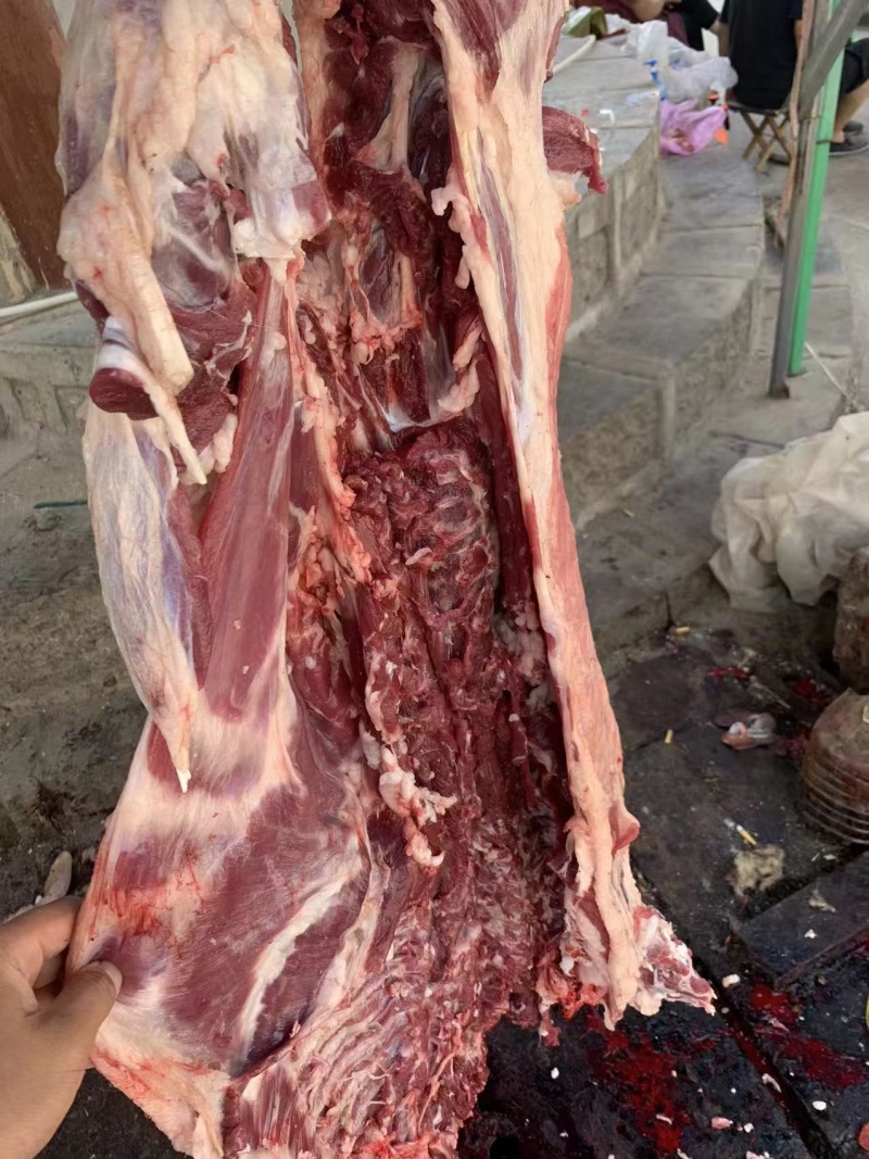 羊肉剔骨羊肉本地山羊肉纯干无水精修无油