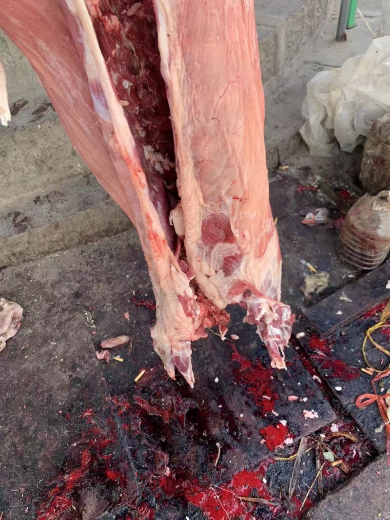 羊肉剔骨羊肉本地山羊肉纯干无水精修无油