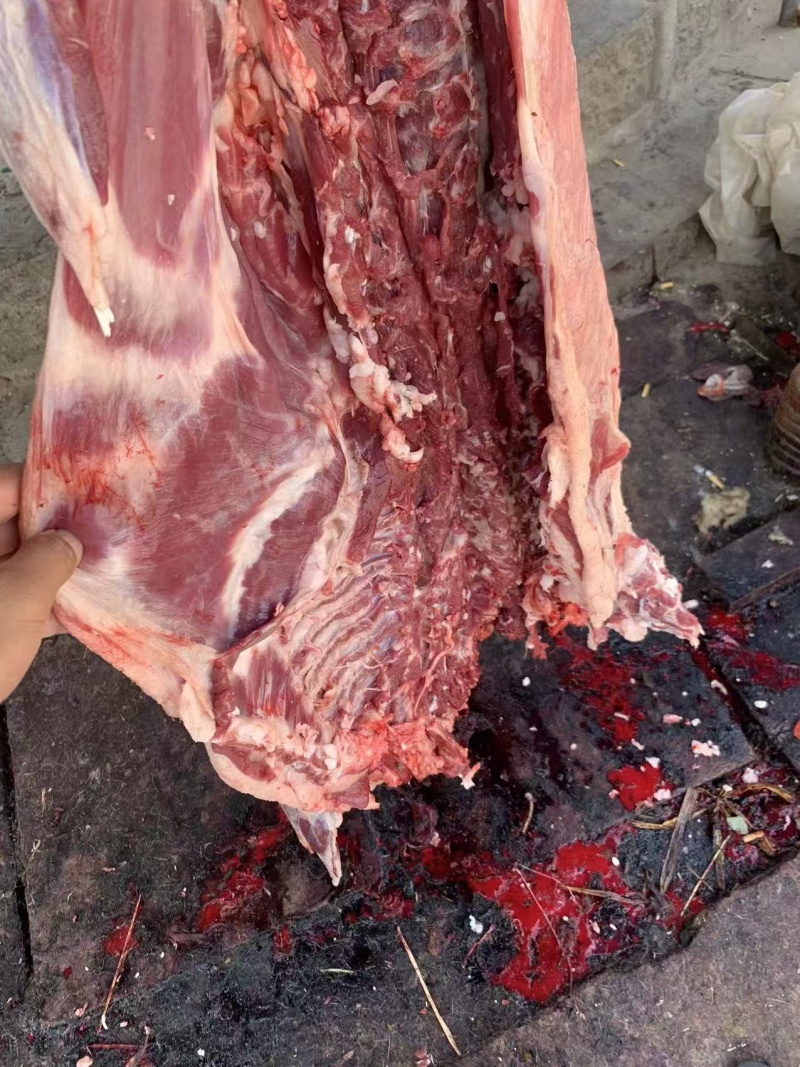 羊肉剔骨羊肉本地山羊肉纯干无水精修无油