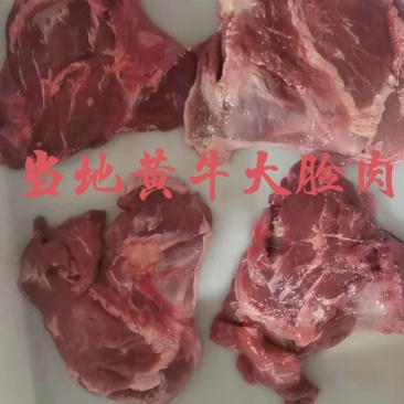【牛大脸肉】冻牛头缓化剔下来的二次加工产品！一件起发货！