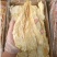 烤鱼片碳烤鳕鱼片休闲小零食电商对接代发全国市场价格优惠