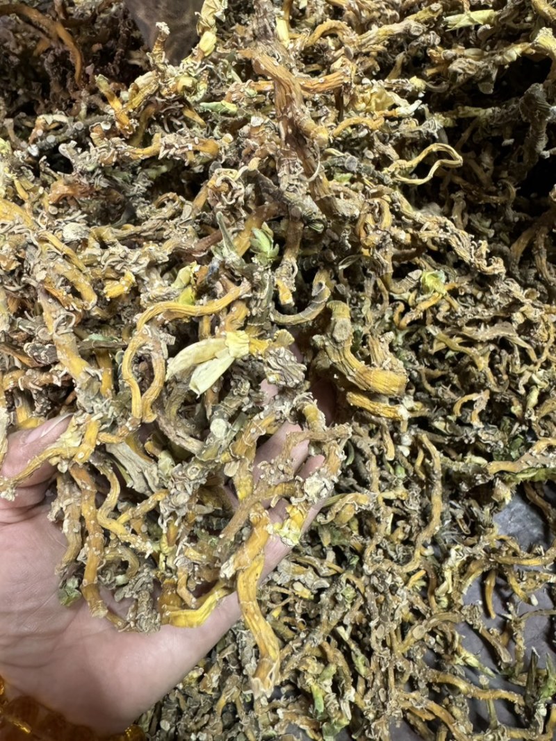 野生玉竹条，产地直达