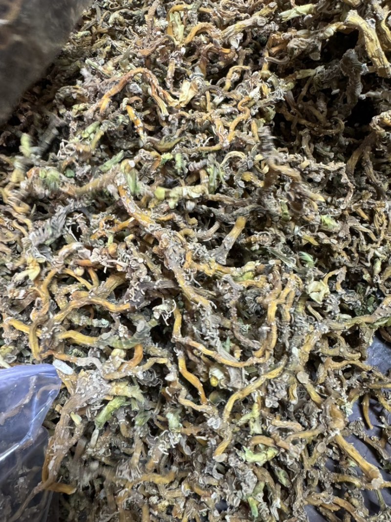 野生玉竹条，产地直达